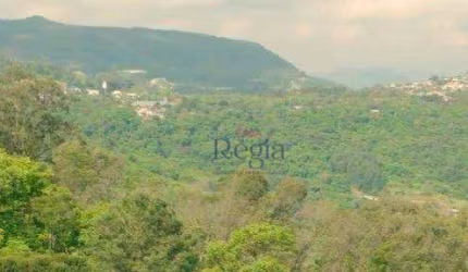 Terrenos a venda em Loteamento na Várzea Grande em Gramado!