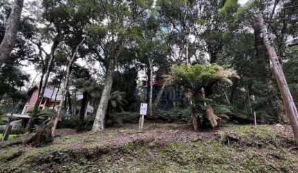 Terreno à venda no Conomínio o Bosque em Gramado!