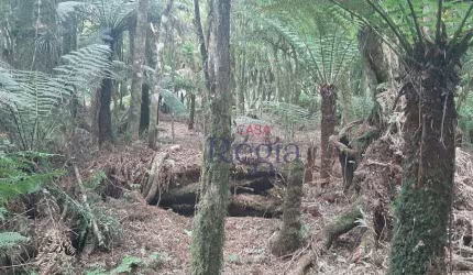 Terreno à venda no Loteamento Alpes – São Francisco de Paula/RS
