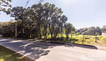 Terreno à venda, 6.972 m² privativos  Del Rey, São José dos Pinhais, PR
