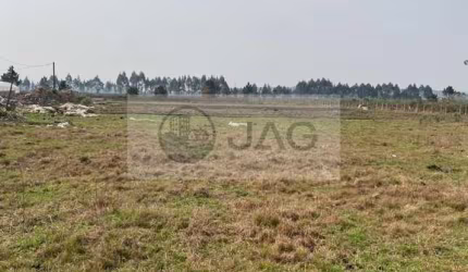 Terreno 1.000 m2 em Piraquara próximo a comércio em geral, vende terreno 1.000 m2 em Piraquara Bairro Guaraituba,