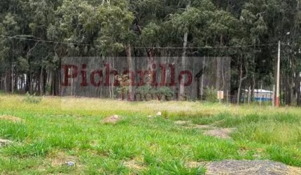 Terreno para Venda em São Carlos, Parque dos Flamboyants