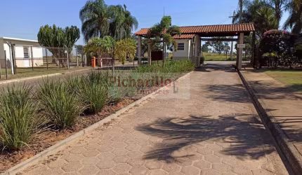 Terreno para Venda em São Carlos, Quinta dos Buritis, 1 dormitório