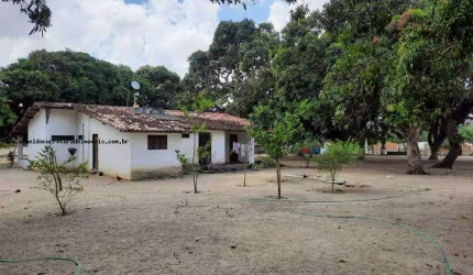 Granja para Venda em Macaíba, Centro, 2 dormitórios, 3 banheiros, 9 vagas