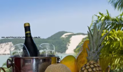 Hotel para Venda em Natal, PONTA NEGRA, 40 dormitórios, 40 suítes, 15 banheiros, 13 vagas