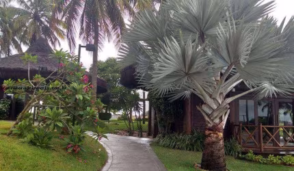 Lote para Venda em Parnamirim, Pium