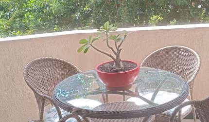 Apartamento 3/4 sendo 2 suítes e 4 vagas