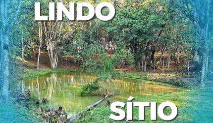 ### &amp;#127807; **Lindo Sítio à Venda em Ilhota/SC**