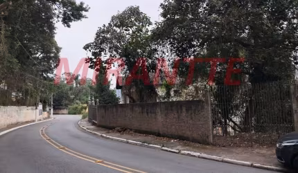 Terreno em Vila Albertina