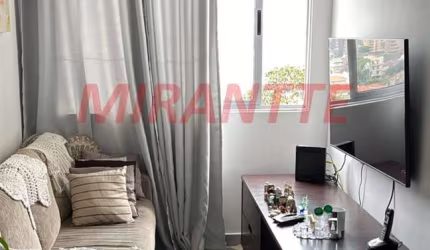 Apartamento de 53m² com 2 quartos em Tucuruvi
