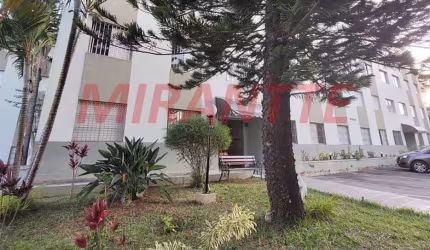 Apartamento de 38m² com 1 quartos em Vila Amelia