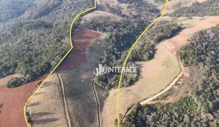 Terreno à venda, 209000 m² por R$ 1.500.000,00 - Ouro Fino de Baixo - Campo Magro/PR