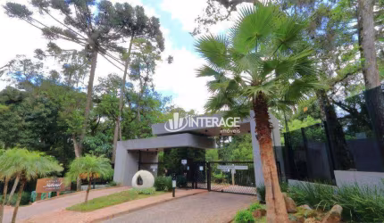 Terreno à venda, 1118 m² por R$ 2.150.000,00 - Santa Felicidade - Curitiba/PR