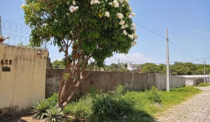 Terreno para Venda em Natal, Ponta Negra