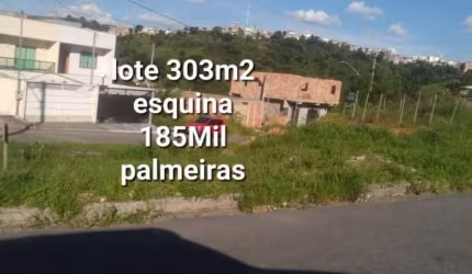 LOTE NO PALMEIRAS