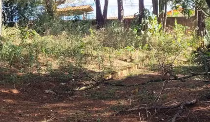 lote em ibirite
