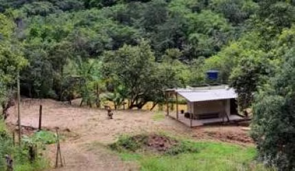 CHACARA EM IGARAPE