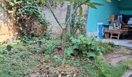 casa no vale do jatoba
