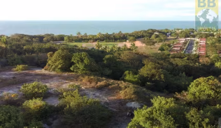 Terreno para Venda em Tibau do Sul, Pipa