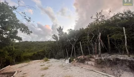 Terreno para Venda, Pipa