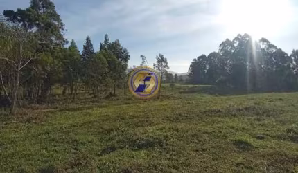 Sítio / Chácara para Venda em Torres, Rio Verde, 2 dormitórios, 1 banheiro, 1 vaga
