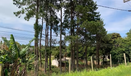 Terreno Comercial para Venda em Torres, Engenho Velho