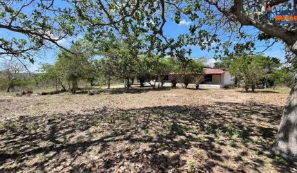 Chácara residencial para Venda no Tomba, Feira de Santana, 4 quartos, 1 sala, 2 banheiros 60mil m² área total.