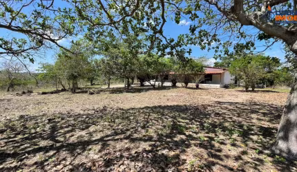 Chácara residencial para Venda no Tomba, Feira de Santana, 4 quartos, 1 sala, 2 banheiros 60mil m² área total.
