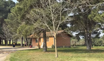 Fazenda - São Luiz do Purunã