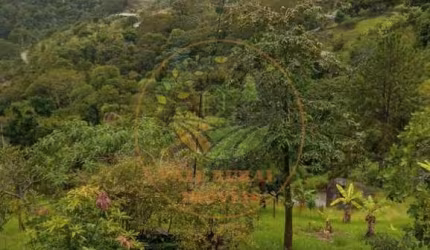 OPORTUNIDADE! CHÁCARA DE 7.200M² EM SANTA BRANCA-SP  CH00267