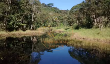 SITIO COM 10 ALQUEIRES EM SÃO LUIS DO PARAITINGA- SP ST00159