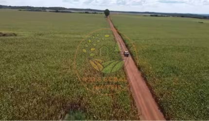 OPORTUNIDADE! FAZENDA EM TOCANTINS COM 840 ALQUEIRES