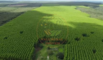 LINDA FAZENDA DE  550 ALQUEIRES EM CATALÃO GO! FA00132