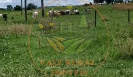 ÓTIMA FAZENDA DE 190 ALQUEIRES EM CALDAS NOVAS GO! FA00131