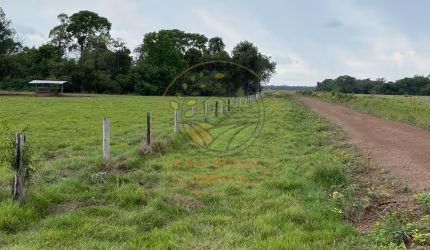 EXCELENTE FAZENDA DUPLA APETIDÃO 1.193 ALQUEIRES - Vale do Araguaia,  ESTADO DE TOCANTINS / FA00128