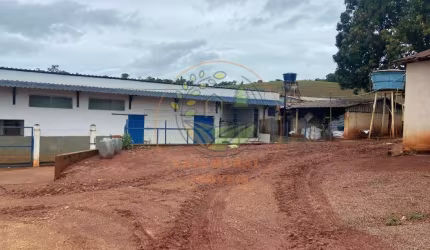 FAZENDA DE 47 HECTARES Á VENDA EM MINAS GERAIS - FA00125