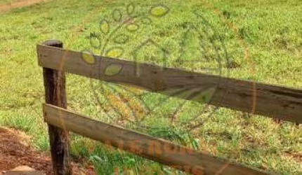 ÓTIMA FAZENDA ESCRITURADA EM PRESIDENTE OLEGÁRIO - FA00124