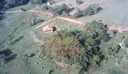 SÍTIO COM NASCENTE E POMAR EM MINAS GERAIS - ST00142