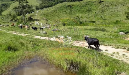 INCRÍVEL FAZENDA COM NASCENTES E ÁGUA CRISTALINA NO RJ - FA00121
