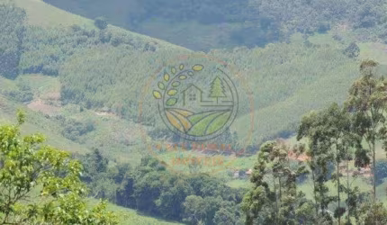 OPORTUNIDADE EM CUNHA! ÁREA RURAL COM MAIS DE 32.000 PÉS DE EUCALIPTO! AR00062