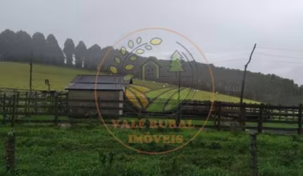 OPORTUNIDADE DE NEGÓCIO! ÁREA DE 569 HECTARES PARA FAZENDA NO SUL DE MINAS! FA00084