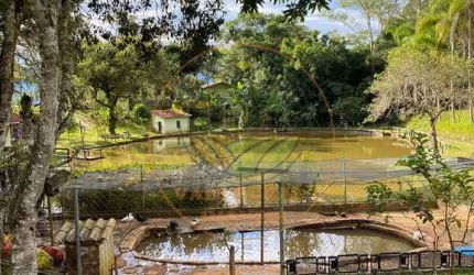 MARAVILHOSA CHÁCARA DE 54.000 M² EM MONTEIRO LOBATO! MUITA ÁGUA! CH00178