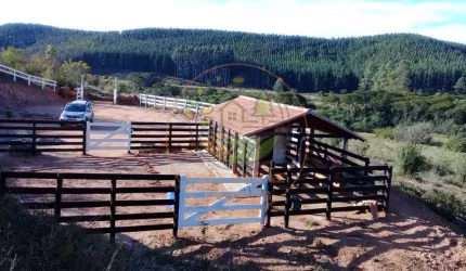 EXCELENTE FAZENDA COM 69 HECTARES  RICA EM ÁGUAS EM LIBERDADE MG! FA00066