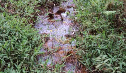 MARAVILHOSA ÁREA COM 6,37 HECTARES E MUITA ÁGUA NO SUL DE MINAS! AR00037