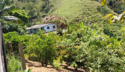 EXCELENTE OPORTUNIDADE! LINDO SÍTIO ESCRITURADO COM 02 LAGOS, POMAR E PASTO!  ST00037