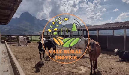 IMPERDÍVEL! EXCELENTE FAZENDA NO SUL DE MINAS COM 450 HECTARES E RICA EM ÁGUAS!   FA00032