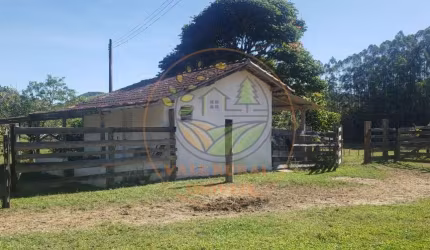 FAZENDA EM NATIVIDADE DA SERRA COM MUITA PASTAGEM E APROPRIADA PARA PECUÁRIA!    FA00015