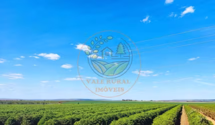 FAZENDA PARA AGRICULTURA COM 470 HECTARES NA  REGIÃO DE PATOS DE MINAS - MG  FA00169