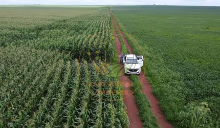 EXCELENTE FAZENDA DE 3.204 HECATRES  EM DARCINÓPOLIS - TO  FA00173