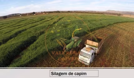 MARAVILHOSA FAZENDA  DE 8.503,87 HECTARES EM MONTES CLAROS - MG  FA00180